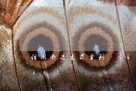 信用卡透支罪量刑標(biāo)準(zhǔn)