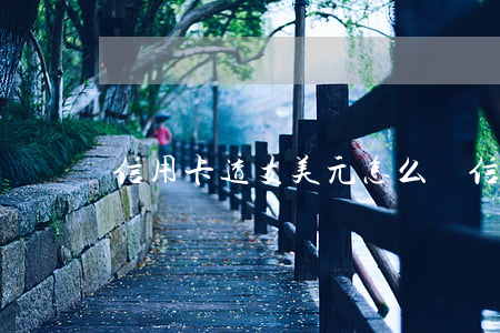 信用卡透支美元怎么還(信用卡透支美元怎么還)