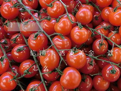 信用卡透支美金還款嗎(交通銀行信用卡美金怎么還)