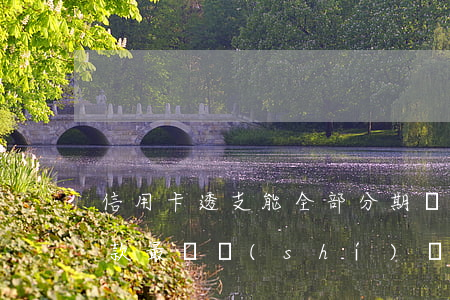信用卡透支能全部分期嗎(信用卡透支分期付款最長時(shí)間可以多久)