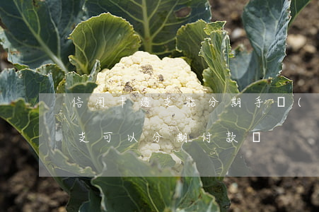 信用卡透支能分期手機(jī)嗎(信用卡透支可以分期付款嗎)