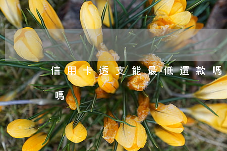 信用卡透支能最低還款嗎(信用卡能最低還款嗎?)