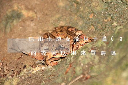 信用卡透支能用于購(gòu)房嗎(信用卡的錢可以用來買房嗎)