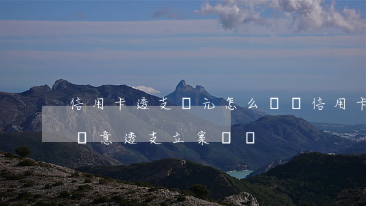 信用卡透支萬元怎么處罰(信用卡一萬元以下惡意透支立案標準)