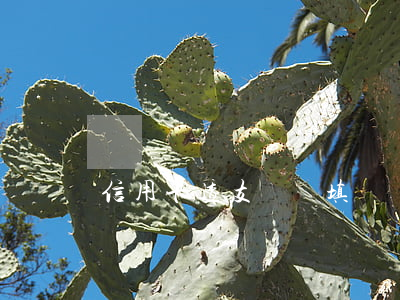 信用卡透支號碼填寫錯誤(貸款銀行卡號填寫錯誤)