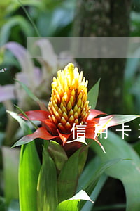信用卡透支被催債怎么辦(信用卡催賬)