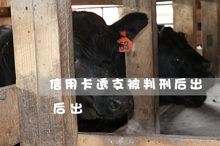 信用卡透支被判刑后出來(信用卡透支被判刑后出來)