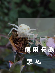 信用卡透支被銀行注銷了(信用卡透支核銷了怎么還)