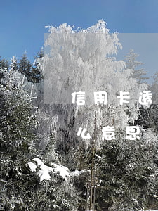 信用卡透支要填什么信息(銀行信用卡透支什么意思)