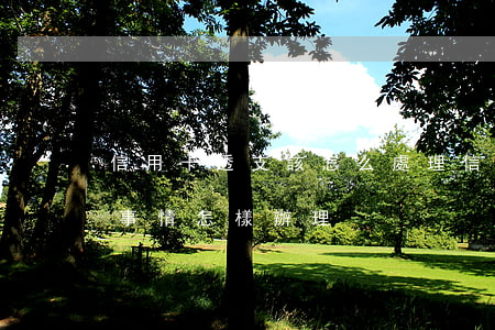 信用卡透支該怎么處理(信用卡透支是怎么回事情怎樣辦理)