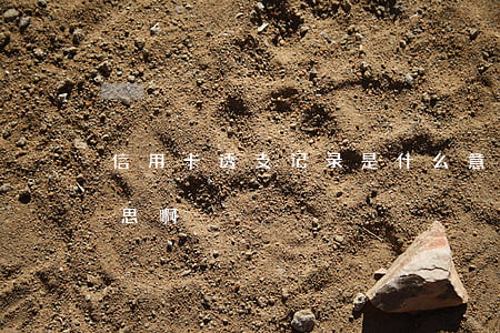 信用卡透支记录是什么意思(信用卡是什么意思啊)