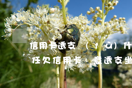 信用卡透支負(fù)什么刑事責(zé)任(欠信用卡惡意透支坐牢嗎)