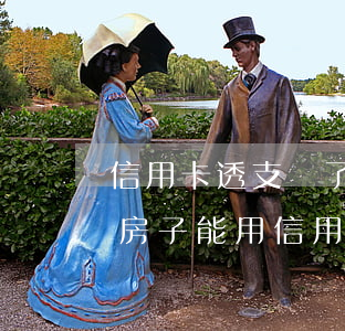 信用卡透支買了35處房產(chǎn)(買房子能用信用卡透支嗎)