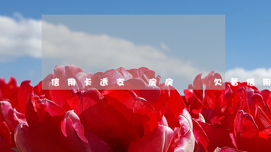 信用卡透支買房房貸嗎(欠著信用卡可以辦房貸嗎)