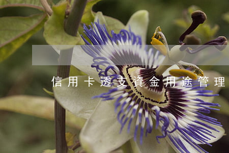 信用卡透支資金用途管理