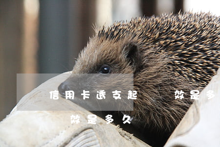 信用卡透支起訴時效是多久(信用卡透支起訴時效是多久)