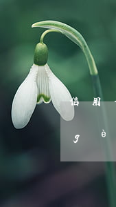 信用卡透支超過(guò)最大限額(哪個(gè)銀行信用卡可以超限透支)