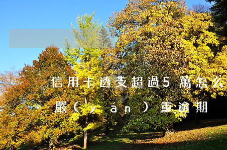 信用卡透支超過5萬怎么辦(5萬以上信用卡嚴(yán)重逾期)