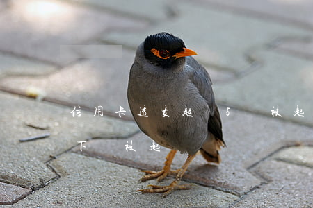信用卡透支超過5萬被起訴(欠信用卡五萬以下會被起訴嗎)