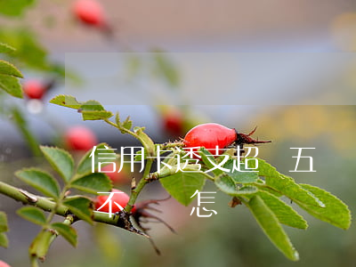 信用卡透支超過五萬還不上(信用卡5萬以下不還會怎樣)
