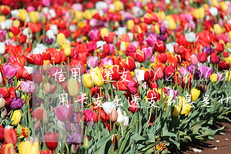 信用卡透支轉(zhuǎn)賬利息多少(信用卡支出透支利息是什么意思)