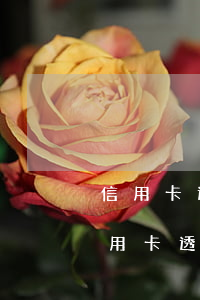 信用卡透支轉(zhuǎn)賬可以分期(信用卡透支可以分期付款嗎)