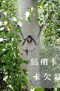 信用卡透支造成精神病咋辦(得了精神病信用卡欠款用還嗎)