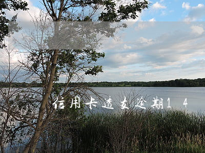 信用卡透支逾期14萬(信用卡透支逾期14萬)