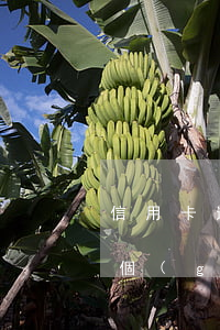 信用卡透支逾期一天會(huì)怎么樣(哪個(gè)銀行的信用卡不能逾期一天)