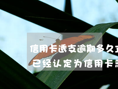 信用卡透支逾期多久立案通知(银行逾期案件已经认定为信用卡恶意透支)
