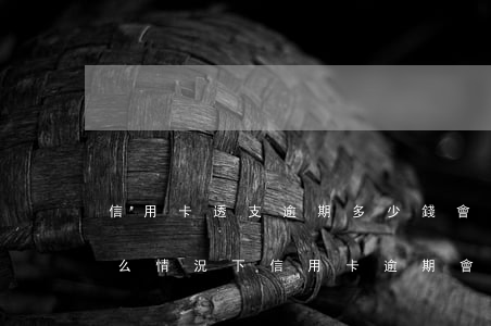 信用卡透支逾期多少錢會(huì)起訴(什么情況下信用卡逾期會(huì)被起訴)