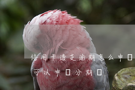 信用卡透支逾期怎么申請分期-銀行卡逾期可以申請分期嗎