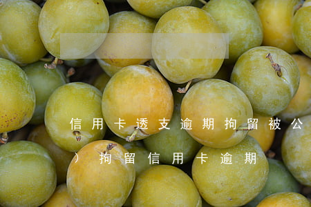 信用卡透支逾期拘留(被公安機關(guān)拘留信用卡逾期)
