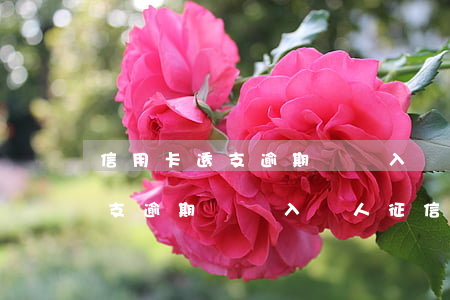 信用卡透支逾期會記入個人征信嗎(信用卡透支逾期會記入個人征信嗎上征信嗎)