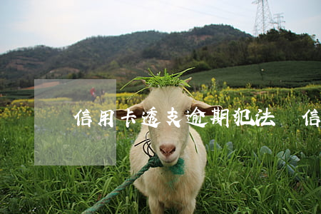 信用卡透支逾期犯法嗎(信用卡透支違法嗎)