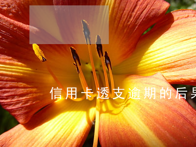 信用卡透支逾期的后果