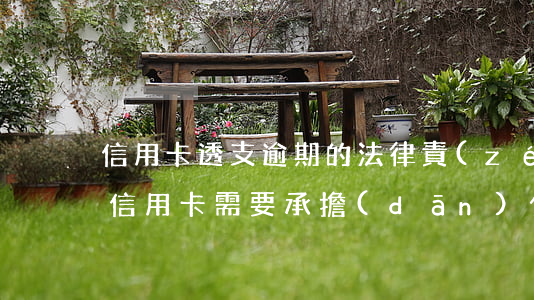 信用卡透支逾期的法律責(zé)任(逾期還信用卡需要承擔(dān)什么法律責(zé)任)