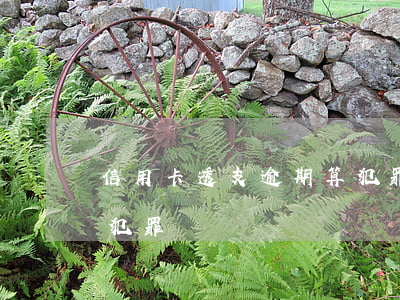 信用卡透支逾期算犯罪嗎(信用卡透支逾期算犯罪嗎)