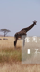 信用卡透支逾期還不上怎么辦(信用卡透支了還不上怎么辦)