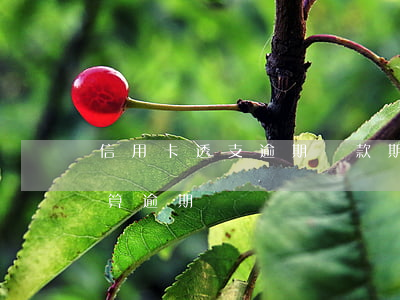 信用卡透支逾期還款期限(信用卡什么時候還算逾期)