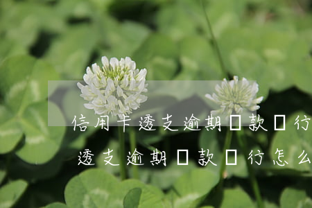 信用卡透支逾期還款銀行怎么處理-信用卡透支逾期還款銀行怎么處理的