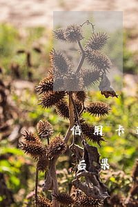信用卡透支逾期還能還款嘛(逾期還信用卡的后果)
