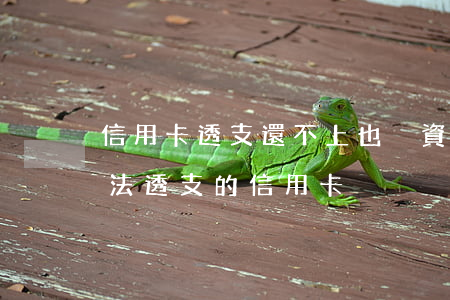 信用卡透支還不上也沒資產(chǎn)(無法透支的信用卡)