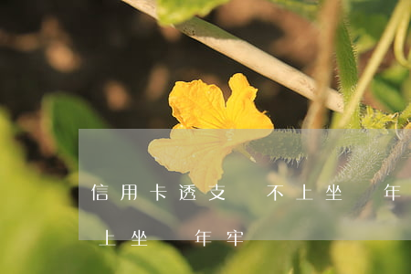 信用卡透支還不上坐幾年牢(信用卡透支還不上坐幾年牢)