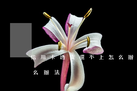 信用卡透支還不上怎么辦(信用卡還不上有什么辦法)