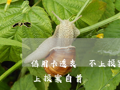 信用卡透支還不上投案自首(信用卡透支還不上投案自首)