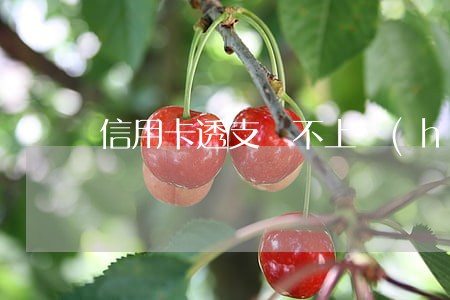 信用卡透支還不上會(huì)判刑嗎