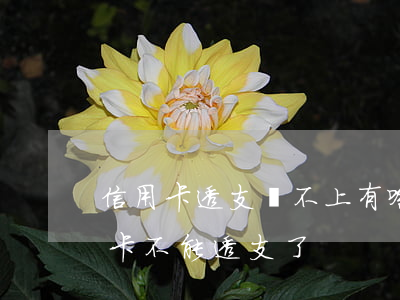 信用卡透支還不上有啥辦法(為什么我的信用卡不能透支了)