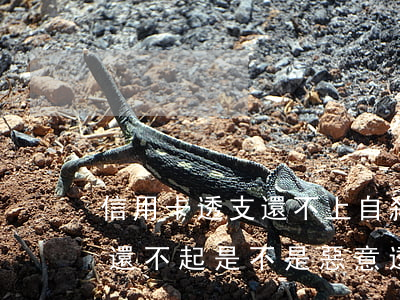 信用卡透支還不上自殺(信用卡用了一年多了還不起是不是惡意透支)