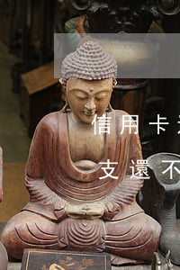 信用卡透支還不上還有什么后果-信用卡透支還不上還有什么后果嗎
